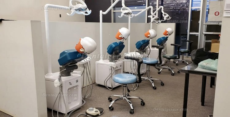 Jingle JG-A2 Phantomkopf Zahnmedizin-Patientensimulator Mit Zahnarzthocker und Zahnlampe
